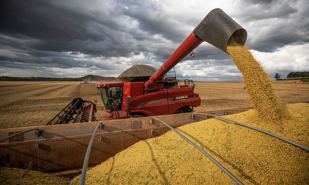 Agricultura