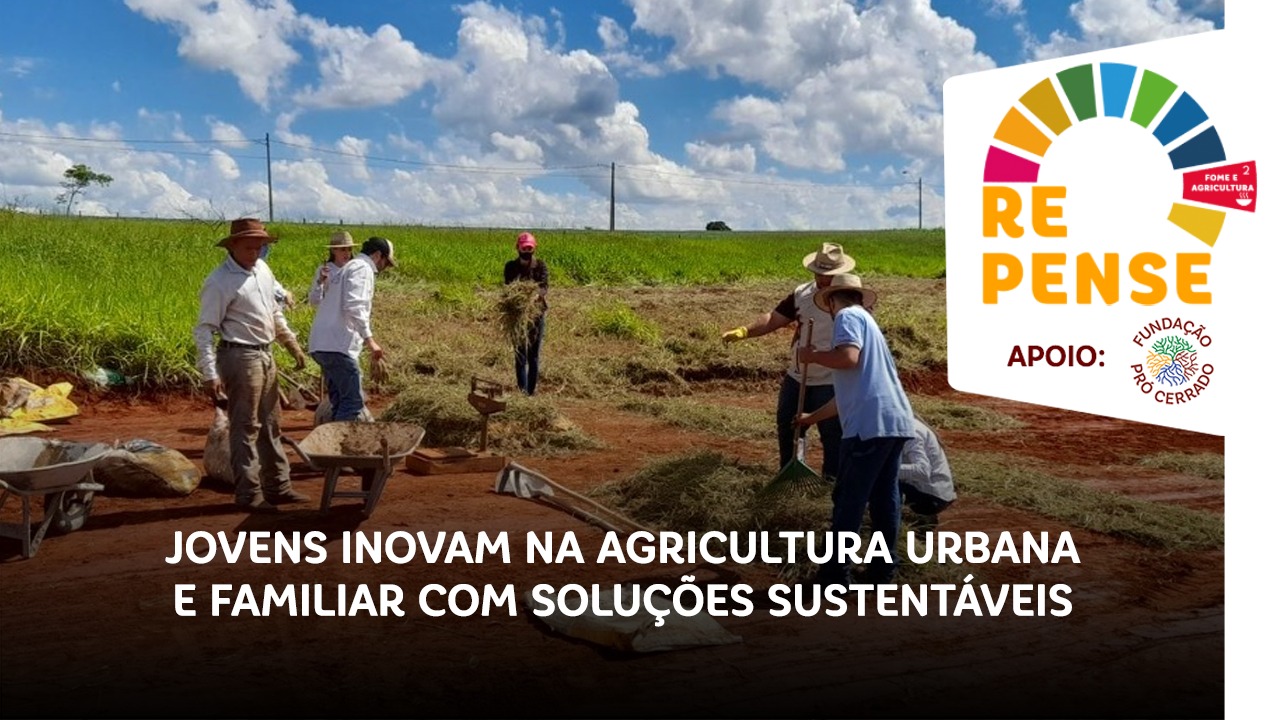 Arena Repense: jovens inovam na agricultura urbana e familiar com ...