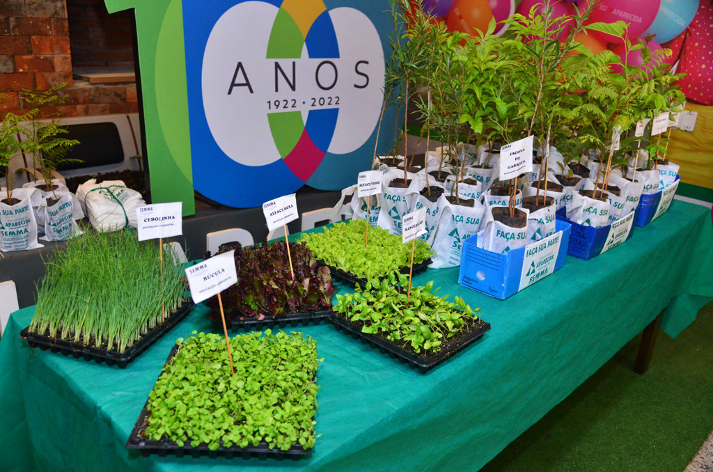 Mudas Educação Ambiental
