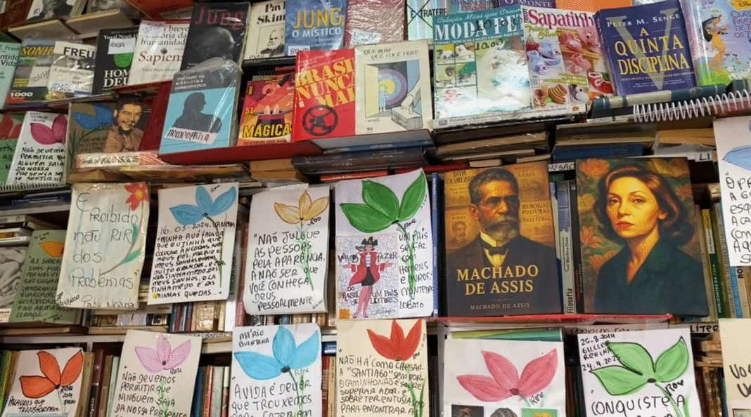 Cultura sebo literário