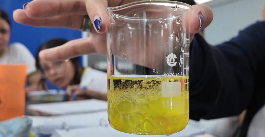 quimica cepi novo horizonte