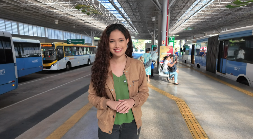 VT Transporte Público